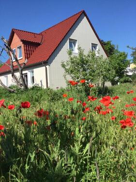 Foto - andere in Sellin zur Miete