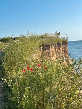 Foto - Etagenwohnung in Dörphof zur Miete