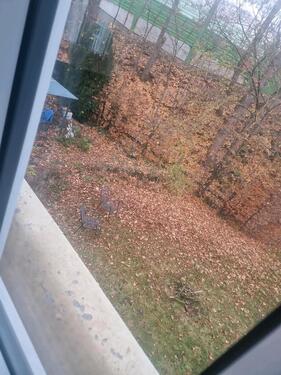 Foto - 16 Zimmer andere in Würzburg