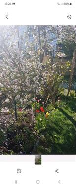 Foto - Vermiete 2 Zimmer Maisonette Wohnung