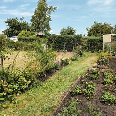 Foto - Grundst&uuml;ck zur Miete in Coswig