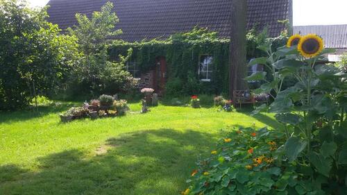 Foto - Biete Wohnen gegen HandHilfe auf Tierhof im Süden Meckl. Vorpom.