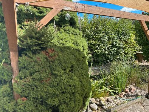 Foto - Einfamilienhaus zum Kaufen in Wolmirstedt