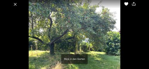 Foto - 2 Zimmer Einfamilienhaus zur Miete in Fritzlar