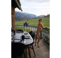 Urlaub mit Hund – willkommen im Ferienhaus in Kärnten - Rudelzhausen