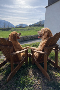 Foto - andere zur Miete in Rudelzhausen