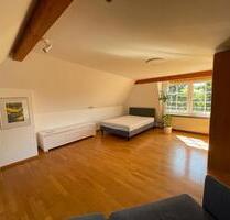 Dachgeschoss Wohnung LahrBurgheim - Lahr (Schwarzwald)