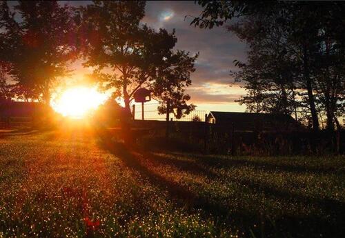 Foto - Ferienhof Letsch: »Feldblick« auf dem Lande