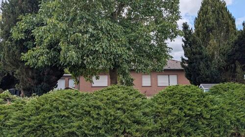 Foto - 4 Zimmer Einfamilienhaus zum Kaufen in Bad Münstereifel