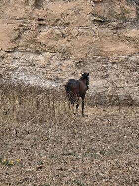 Foto - andere zur Miete in Höxter