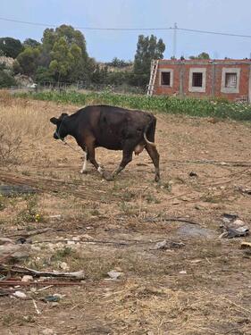 Foto - andere in Höxter