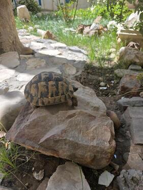 Foto - andere in Höxter zur Miete