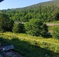 Doppelhaushälfte + 3 Garagen + 547 m² Grundstück + Hausberg - Frankenstein