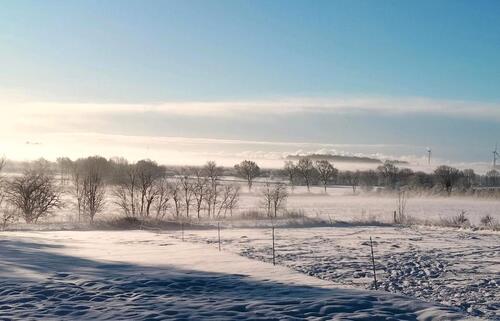 Foto - Verwirklichungen* Wohnensemble erbauen* ein Hektar Koppel