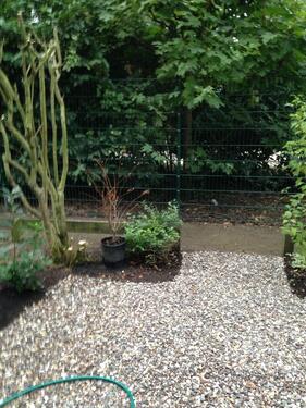 Foto - 4 Zimmer Maisonettenwohnung zur Miete in Wolfenbüttel