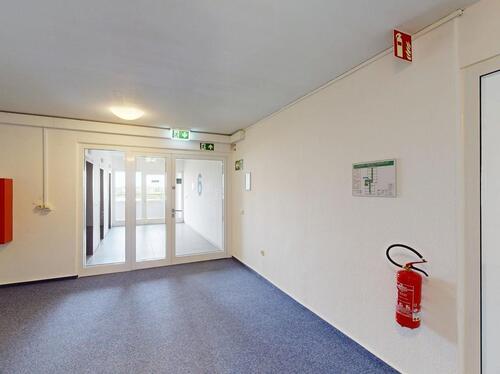 Foto - andere in Braunschweig