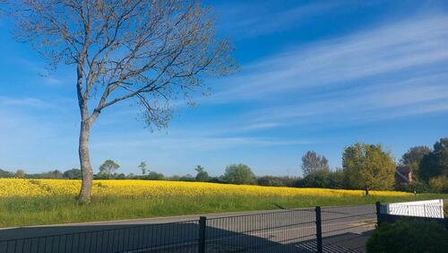 Foto - andere zur Miete in Gelting