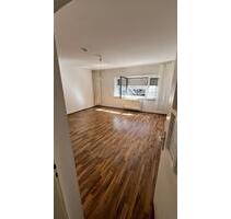 Moderne sanierte 3-Zimmer-Wohnung (90 m²) - Ludwigshafen am Rhein