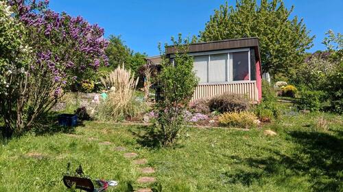 Foto - Kleingarten zur Pacht im KGV Trier Mariahof