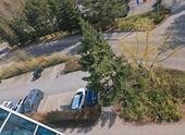 Foto - andere zur Miete in Binz