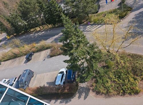 Foto - andere zur Miete in Binz