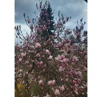 Großes Einfamilienhaus zu vermieten - Trostberg