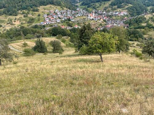 Foto - Wiesengrundstück in Gernsbach (Ortsteil Reichental)