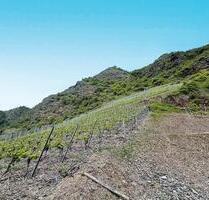 Grundstück - 500,00&nbsp;EUR Kaltmiete, ca.&nbsp; 0,00&nbsp;m&sup2; in Cochem (PLZ: 56812)