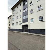 Schöne 2-Zimmer-Wohnung EG in ruhiger Lage – frisch renoviert! - Singen (Hohentwiel)