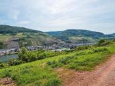 Foto - Gerodetes Grundstück mit Blick auf die Mosel