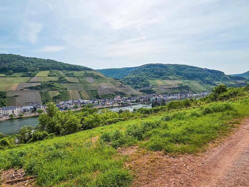 Foto - Gerodetes Grundstück mit Blick auf die Mosel