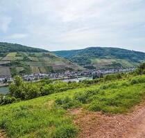 Gerodetes Grundstück mit Blick auf die Mosel - Zell (Mosel)