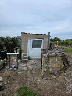 Foto - Einfamilienhaus in Laucha an der Unstrut zum Kaufen