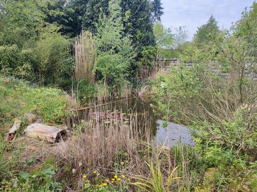 Foto - Einfamilienhaus in Nordhorn zum Kaufen
