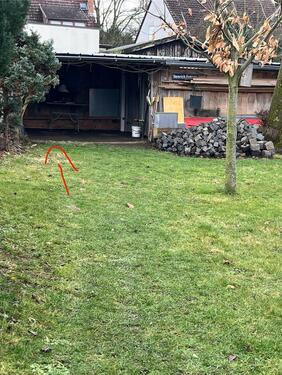 Foto - andere in Koblenz zur Miete