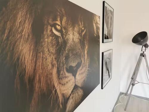 Foto - Möblierte Wohnung mit 2 Schlafzimmer in GE Feldmark