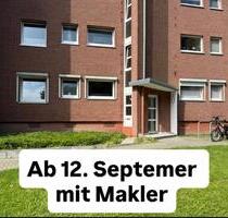 2,5 Zimmerwohnung im Grünen aber stadtnah - Lübeck Sankt Gertrud