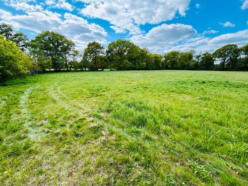 Foto - Grundstück in Westoverledingen