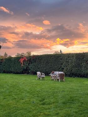 Foto - andere in Köln