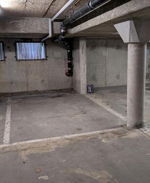 Foto - andere in Dresden