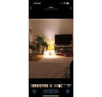 3-Zimmer-Wohnung im Westend frei ab 01.12.2025 - Frankfurt am Main Bockenheim