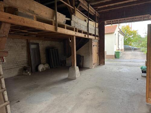 Foto - andere in Pleidelsheim