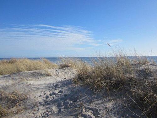 Foto - Angebot Buchungslücke Fehmarn Südstrand vom 17.05-23.05.2026