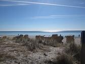 Foto - andere in Fehmarn