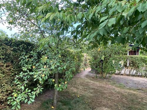 Foto - Grundstück in Finsterwalde zur Miete