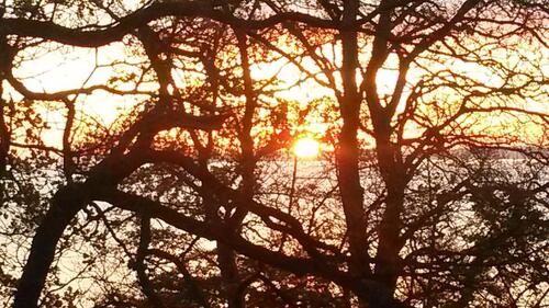 Foto - andere zur Miete in Scharbeutz