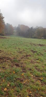 Foto - Grundst&uuml;ck zur Miete in Pirmasens