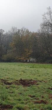 Foto - Grundst&uuml;ck in Pirmasens