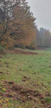 Foto - Grundst&uuml;ck in Pirmasens zur Miete