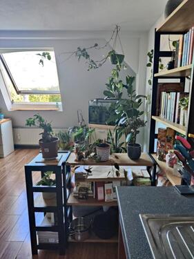 Foto - Etagenwohnung in Braunschweig zur Miete